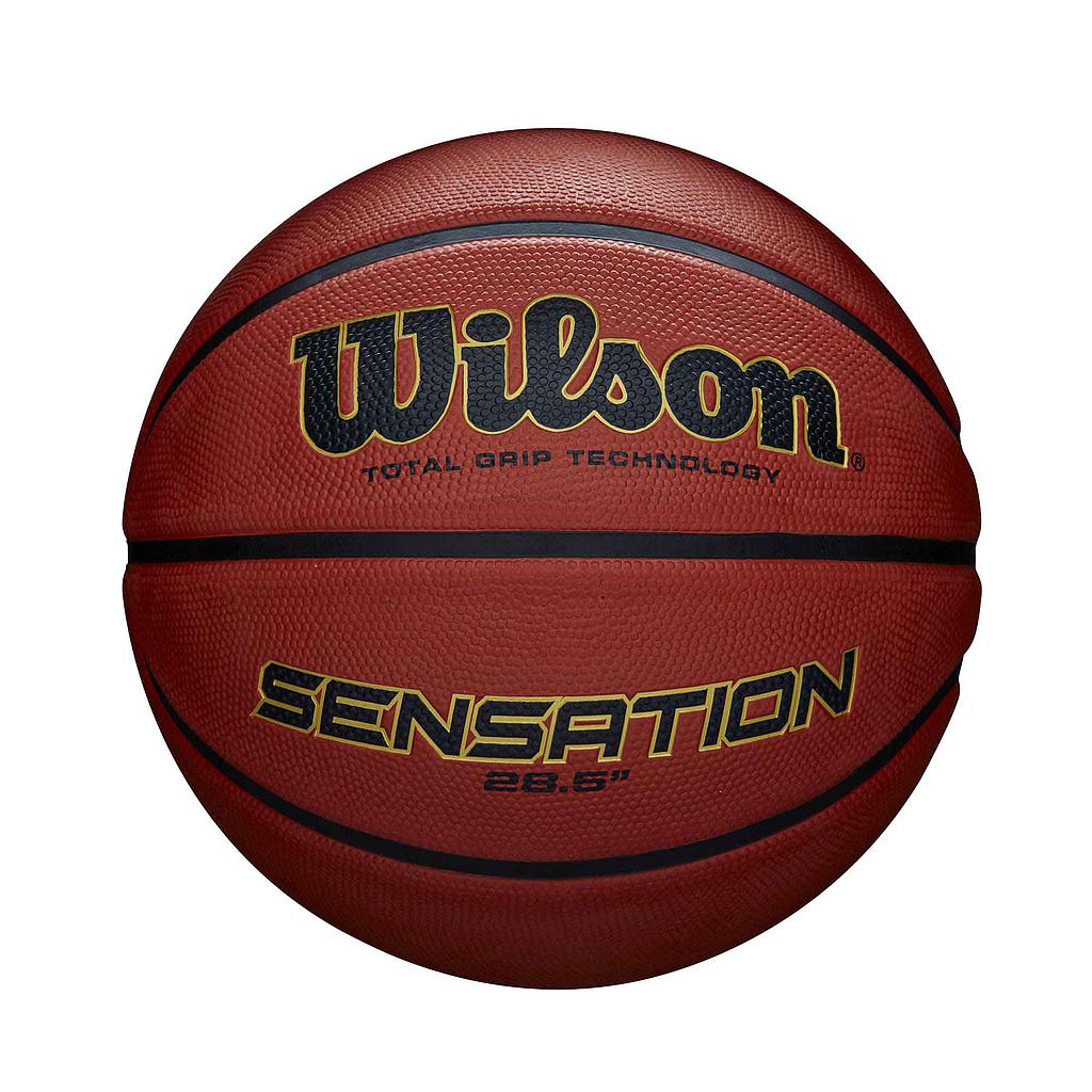 Wilson Outdoor Basketball