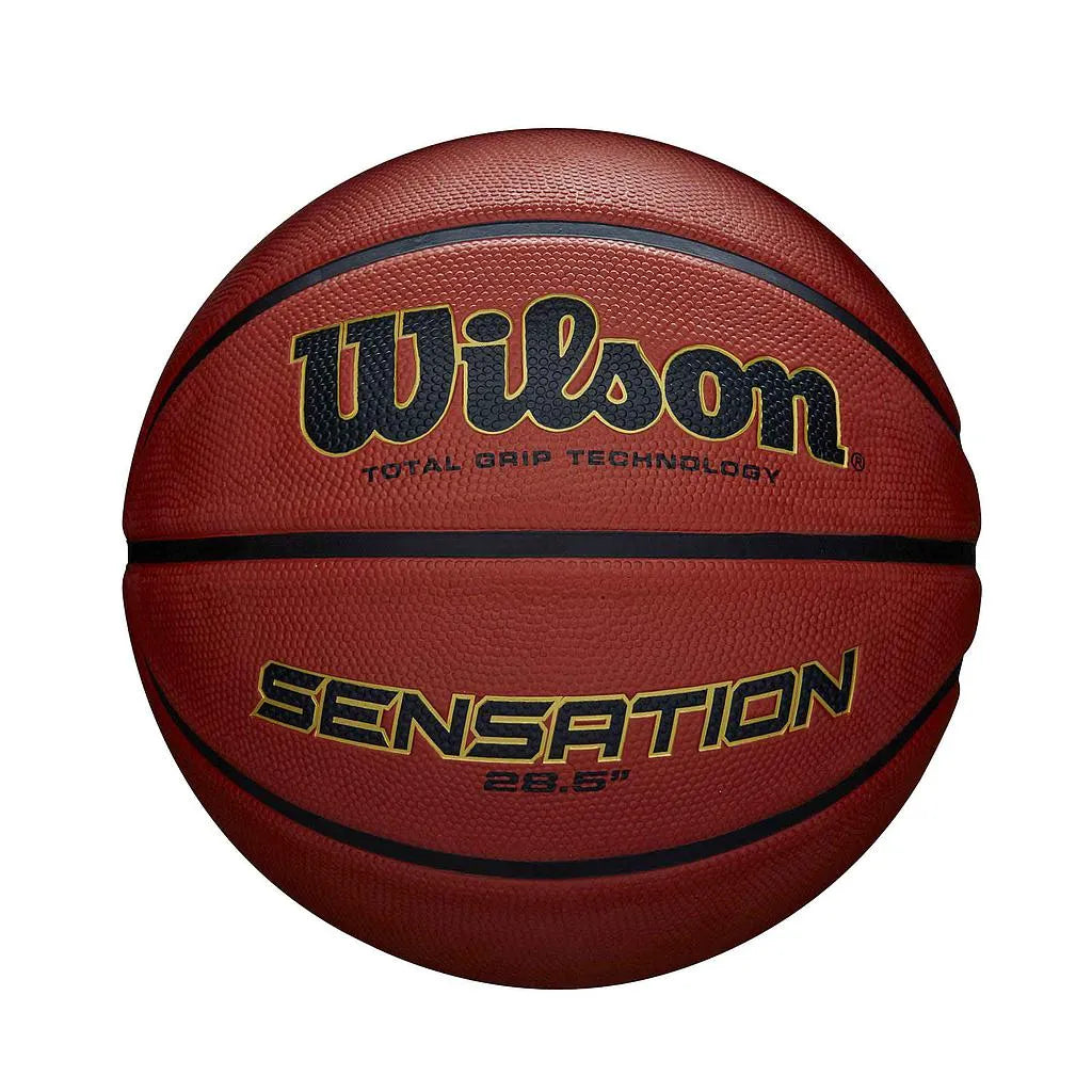 Wilson Outdoor Basketball
