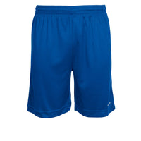 Stanno Field Shorts (Junior) - Blue