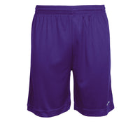 Stanno Field Shorts (Junior) - Purple