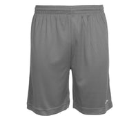 Stanno Field Shorts (Junior) - Gray
