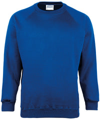 Maddins Kids Coloursure™ Sweatshirt - Royal
