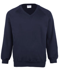 Maddins Coloursure™ V-neck Sweatshirt - Navy*