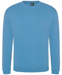ProRTX Pro Sweatshirt - Sky Blue