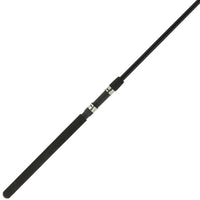 Feeder Max Rod 10ft 2pc + 2 tips