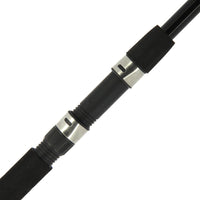Feeder Max Rod 10ft 2pc + 2 tips