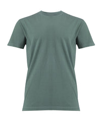 Comfortcolors Heavyweight Adult T-shirt - Light Green
