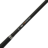 NGT 10ft Dynamic Catfish 2pc 7oz Carbon