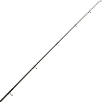 NGT 10ft Dynamic Catfish 2pc 7oz Carbon