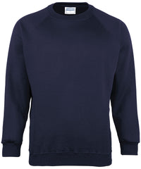 Maddins Coloursure™ Sweatshirt - Navy*
