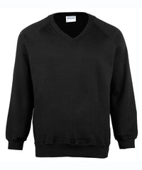 Maddins Coloursure™ V-neck Sweatshirt - Navy*