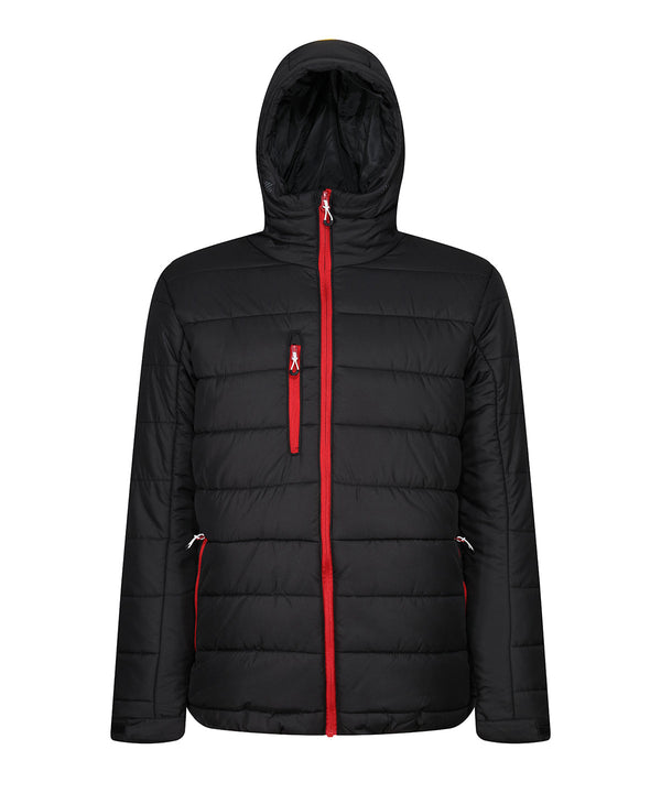 Regatta Navigate Thermal Hooded Jacket - Black/Classic Red