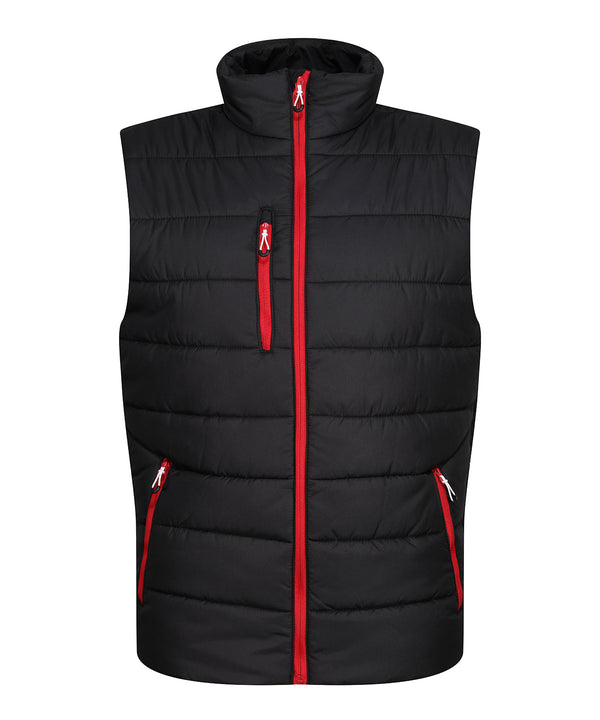Regatta Navigate Thermal Bodywarmer - Black/Classic Red