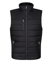 Regatta Navigate Thermal Bodywarmer - Black/Seal