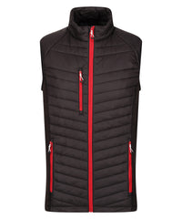 Regatta Navigate Hybrid Bodywarmer - Black/Classic Red