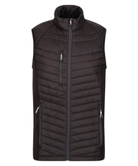 Regatta Navigate Hybrid Bodywarmer - Black/Seal