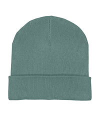 Stanley/Stella Rib Beanie in Unisex Fit - Green Bay