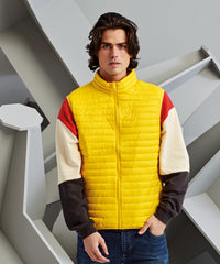 2786 Tribe Fineline Padded Gilet - Black