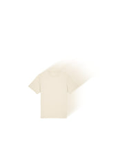 Stanley/Stella Tee Pack in Natural Raw - 25 Sparker 2.0 Heavy T-Shirts