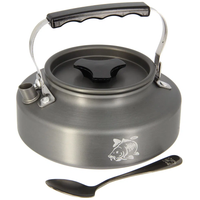 NGT 0.80L Kettle With Spoon And Case