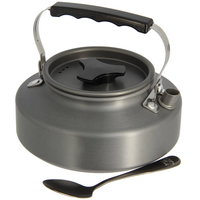 NGT 0.80L Kettle With Spoon And Case
