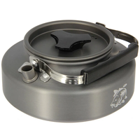 NGT 0.80L Kettle With Spoon And Case