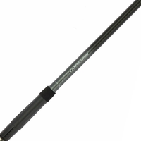 NGT XPR Catfish Rod 10ft 2pc