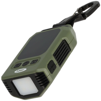 NGT Carbon Monoxide Detector Thermometer & Light