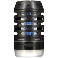 NGT 3 In 1 Bug Zapper And Light